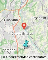 Giardinaggio - Servizio,20847Monza e Brianza