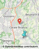 Giardinaggio - Servizio,20847Monza e Brianza