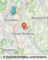 Giardinaggio - Servizio,20833Monza e Brianza