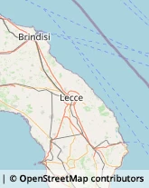 Borse - Dettaglio,73043Lecce