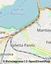 Assicurazioni,46100Mantova