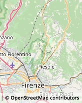 Latterie,50014Firenze