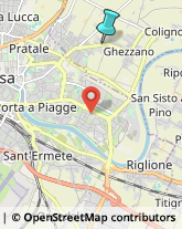 Locali, Birrerie e Pub,56017Pisa