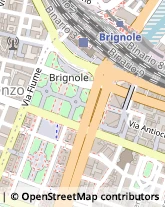 Viale Brigata Bisagno, 2 - Int.10,16129Genova