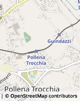 Via S. Giacomo, 32,80040Pollena Trocchia