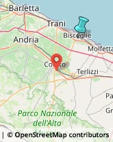 Intagliatori Legno ed Ebanisti,76011Barletta-Andria-Trani