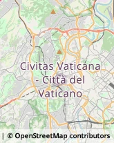 Viale dei Quattro Venti, 62,00152Roma