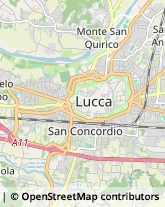 Parrucchieri,55100Lucca