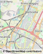 Via Alessandro Stoppato, 7,40128Bologna