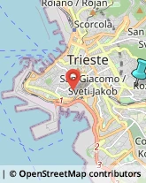 Giornalai,34139Trieste