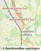 Via Toscana, 246,53014Monteroni d'Arbia