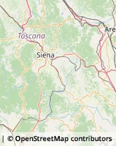 Località Guardavalle, 47,53049Torrita di Siena