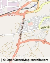 Viale delle Rose, 64,08100Nuoro