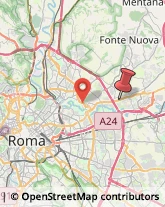 Via Fontana Zoe, 220,00131Roma