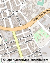 Viale Vittorio Alfieri, 2,73100Lecce