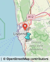 Legna da ardere,57128Livorno