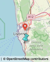 Legna da ardere,57128Livorno