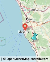 Agenzie di Animazione e Spettacolo,57016Livorno