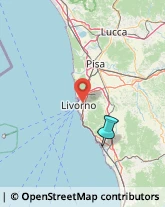 Agenzie di Animazione e Spettacolo,57016Livorno