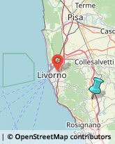 Legna da ardere,57016Livorno