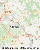 Via Luigi Cremani, 14,53100Siena