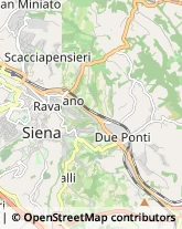 Idraulici e Lattonieri,53100Siena