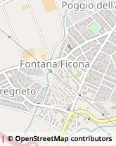 Via Fratelli Giuseppe e Mariano Soprani, 45,00052Cerveteri