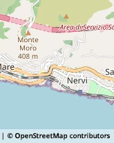 Sartorie,16167Genova