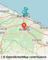 Figurinisti - Scuole,76121Barletta-Andria-Trani