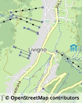 Abbigliamento,23041Sondrio