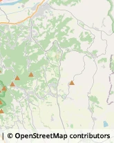 Aziende Agricole,10020Torino