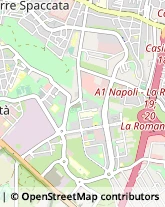 Viale Antonio Ciamarra, 45/47,00173Roma