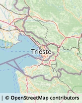 Ottica, Occhiali e Lenti a Contatto - Dettaglio,34170Gorizia