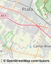 Viale Montegrappa, 341-353,59100Prato