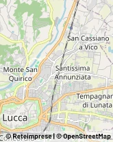 Viale Luigi Cadorna, 50,55100Lucca