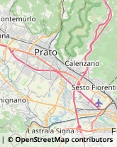 Tela,50058Firenze