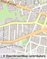 Via delle Tagliate Prima, 231,55100Lucca