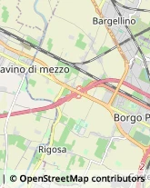 Aziende Agricole,40132Bologna