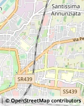 Via Romana, 95,55100Lucca