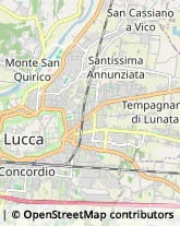 Via della Polveriera, 9,55100Lucca