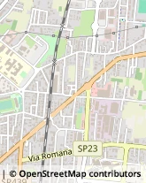 Via Vecchia Pesciatina, 178,55100Lucca