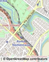 Viale Etiopia, 18,00199Roma