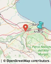 Imprese di Pulizia,76123Barletta-Andria-Trani