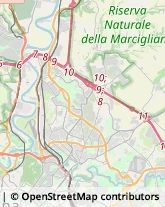 Via dei Prati Fiscali, 215,00141Roma