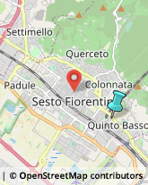 Ottica, Occhiali e Lenti a Contatto - Dettaglio,50019Firenze