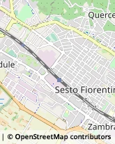 Autofficine e Centri Assistenza,50019Firenze