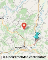 Enoteche,15019Alessandria