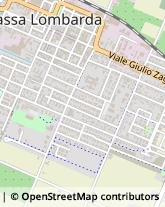 Via Venceslao Baravelli, 9,48024Massa Lombarda