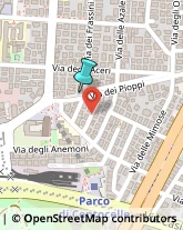 Locali, Birrerie e Pub,00172Roma