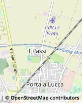 Via G. Paolo Gamerra, 13,56123Pisa